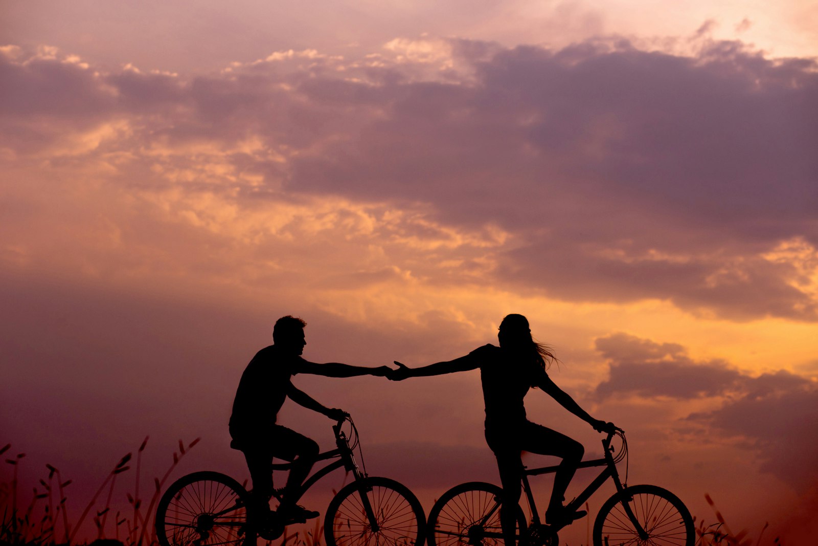 Best Best Libido Supplements For Men Supplements, Ranked